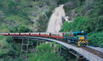 A train passing a waterfall in the rainforest