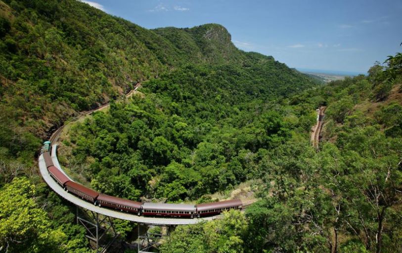 A train passing a waterfall in the rainforest