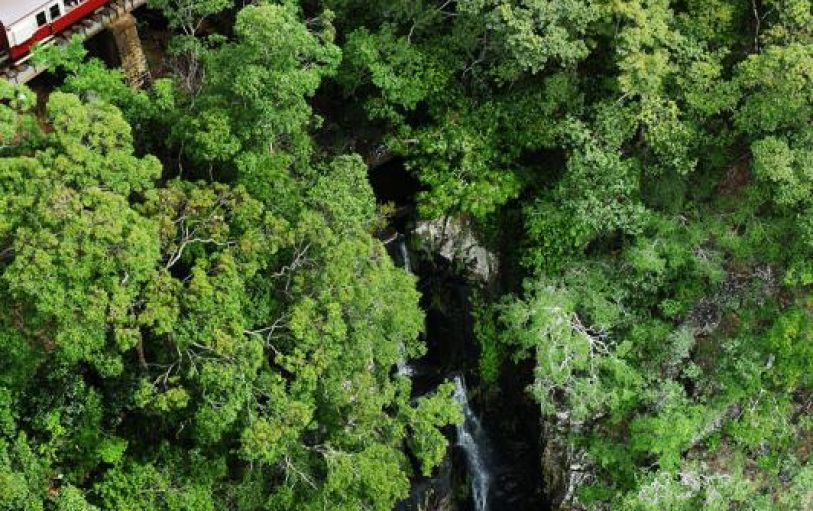 A train passing a waterfall in the rainforest