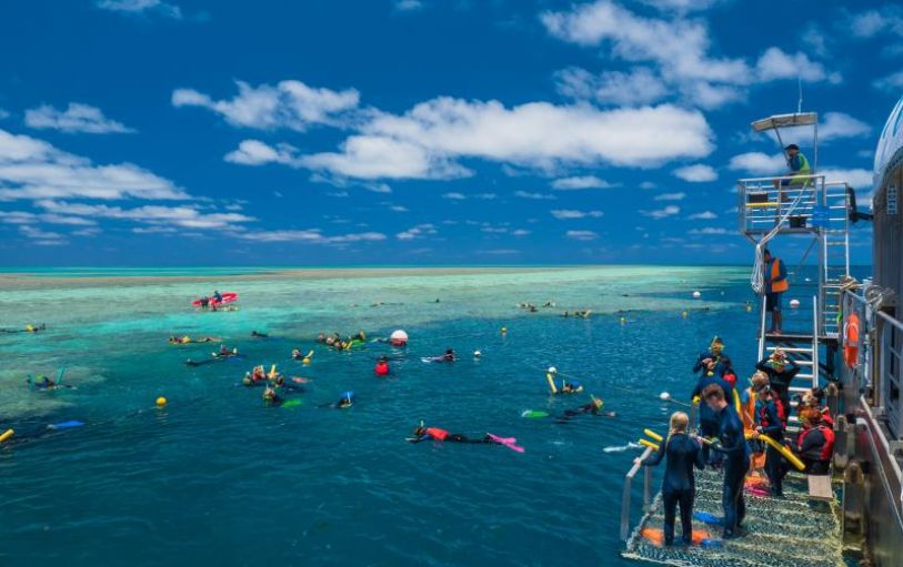 1 Day Great Barrier Reef Adventure - Cruise Whitsundays