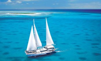 A large catamaran with sails sailing through clear blue waters with an island in the background