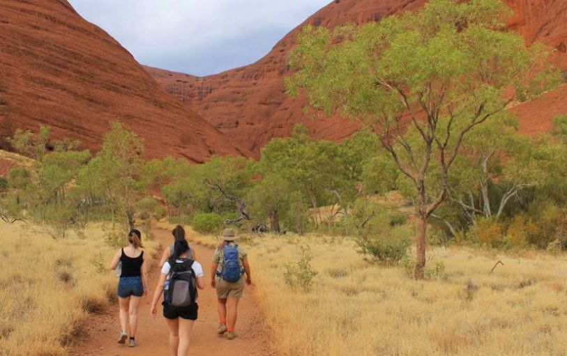 hiking Uluru Kata Tjuta and Kings Canyon