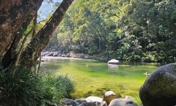 a river flowing through the daintree rainforest with boulders on either side