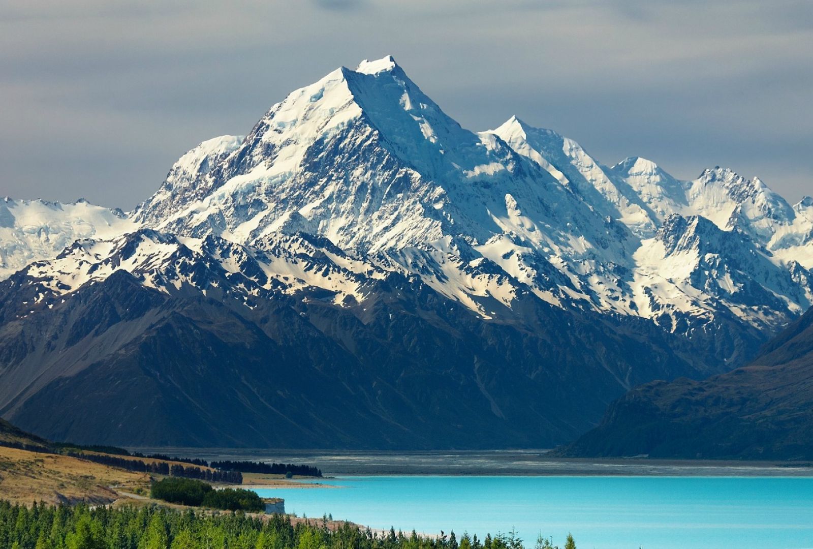 land tour new zealand