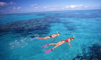 Two snorkellers in the water at the Great Barrier Reef while snorkelling onboard Ocean Quest