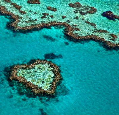 The Heart Reef as seen from above on a Great Barrier Reef tour