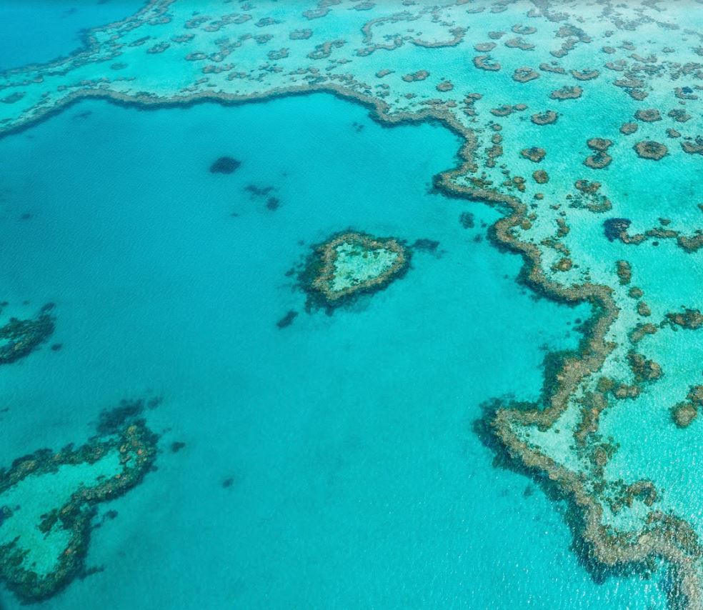 Insider Tips To Make The Most Of Your Great Barrier Reef Tours