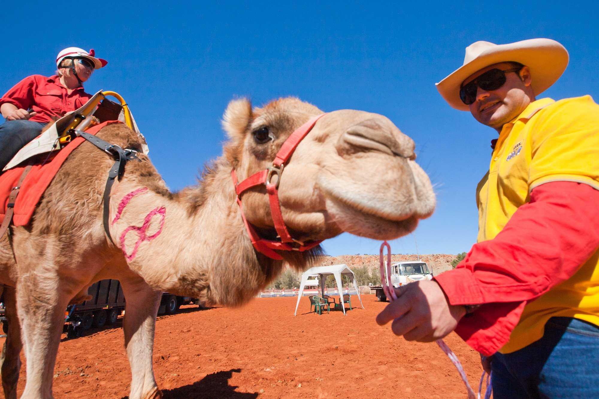 Camel Races – Alice Springs
