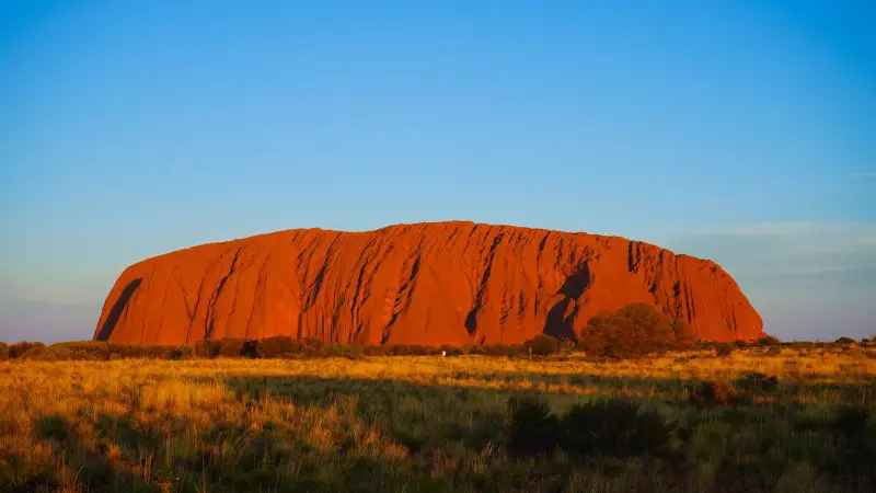 Uluru, majestic red sandstone monolith, rises above golden grasslands under a vivid blue sky at sunset in Australia’s outback.