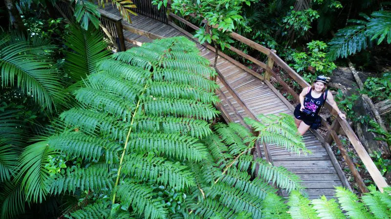 Tour participant in safety helmet crosses scenic wooden bridge amid vibrant rainforest on Active Tropics 1 Day Cape Tribulation Tour.