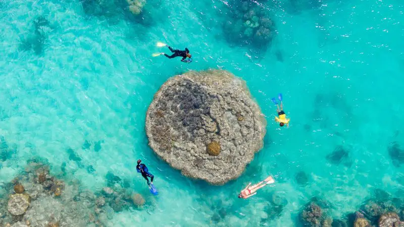 people snorkeling in Great Barrier Reef