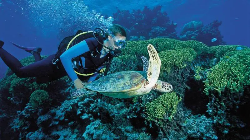 A scuba diver earning PADI Advanced certification explores a colourful coral reef with a sea turtle during an immersive 2-day dive course.