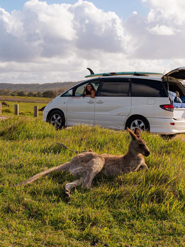 a girl in a campervan leaning out the window with Kangaroos lying on the grass outside the vehicle