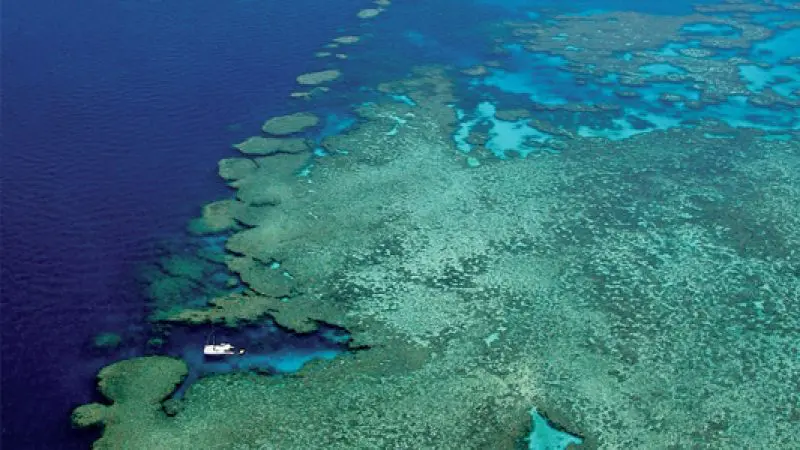Aerial shot of Kiana Whitsunday Sailing boat on a 3 Day 2 Night tour by colourful coral reefs in crystal-clear blue ocean waters.