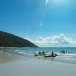 Adventurers kayaking by the Cape Tribulation coast under clear skies, lush green hills in the background—top-rated tropical tour scene.