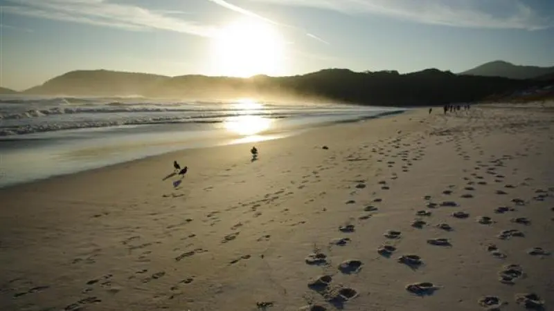 Golden footprints on a pristine sandy beach at sunset, captured during a 1 Day Wilsons Promontory Tour by Go West Tours.