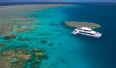 4e9bb7aa50e93_1038_ddg-silversonic-009l-1