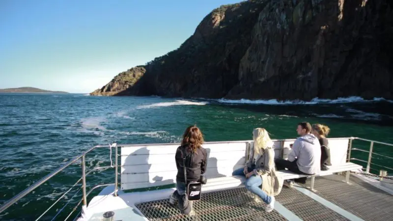 Four friends relax on a boat deck during a 1 Day Port Stephens Dolphin Watching tour by Colourful Collective Travel, spotting dolphins.