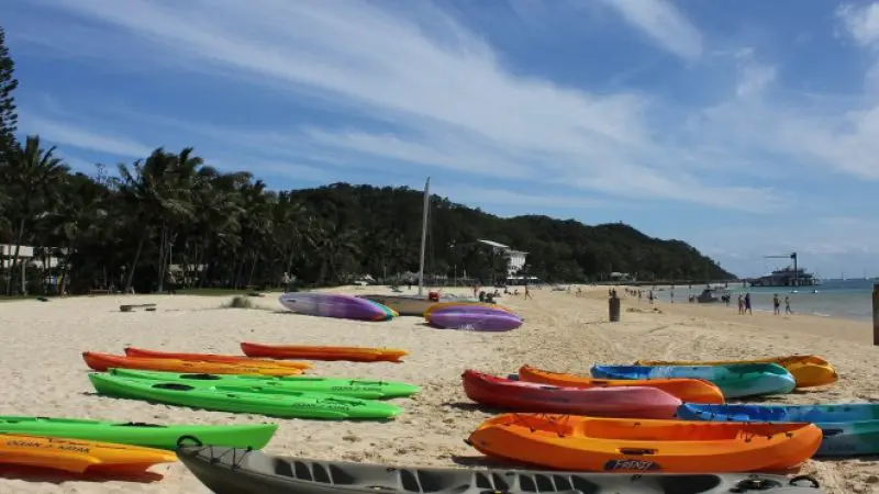 Vibrant kayaks and canoes line the sandy shore at Moreton Island Wrecks Adventure Tour beneath a clear blue sky, ideal for visitors.