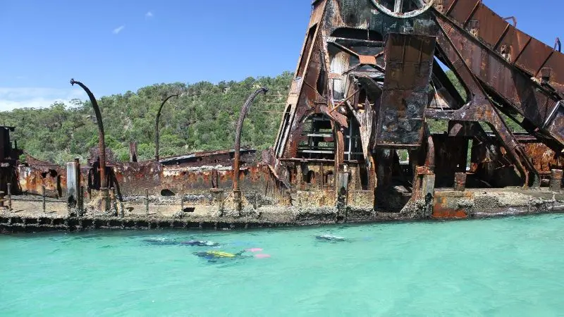 Snorkellers discover a vibrant rusted shipwreck amid crystal-clear turquoise waters on Moreton Island Wrecks Adventure Tour.