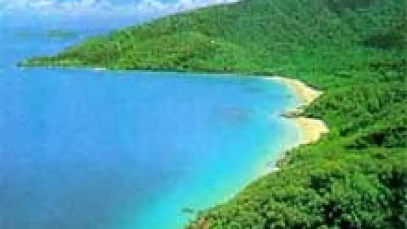 Stunning aerial view of Daintree Cape Tribulation’s lush tropical coastline on our Premium Small Group Day Tour, perfect for nature lovers.