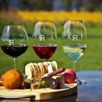 Elegant trio of Yarra Valley wines paired with gourmet appetisers and artisan crackers on a rustic board, ideal for outdoor grazing tours.