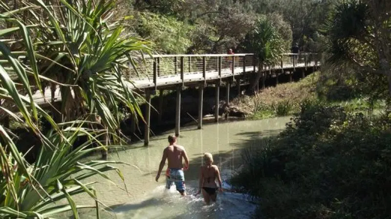 Experience the Fraser One Day Tour: two people wading in a sunlit creek, surrounded by vibrant greenery and natural beauty.
