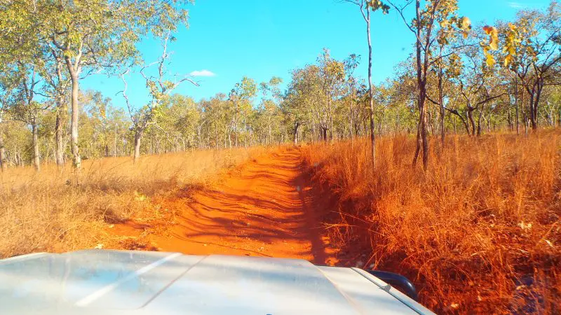 A white SUV travels along a striking red dirt road in Kakadu Koolpin Tour Camping, beneath a vibrant blue sky in Australia’s Outback.