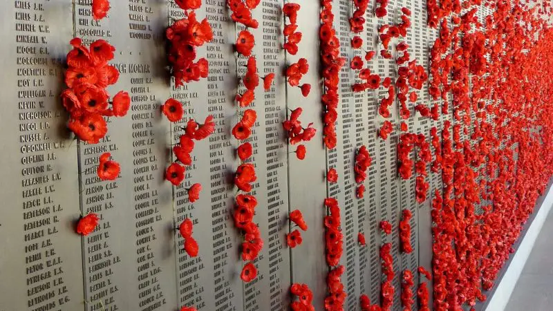Striking red poppies on a Canberra memorial wall honour fallen soldiers—top spot for your Canberra day trip from Sydney.