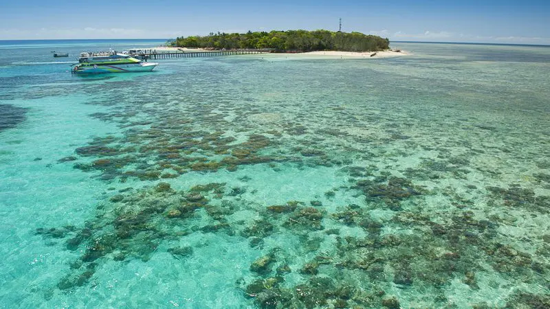 Boat arriving at lush Green Island for Half Day 1pm Tour, clear turquoise waters and coral reefs visible, top tropical holiday scene.