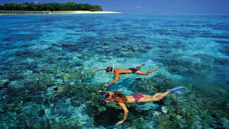 Experience two snorkellers exploring vibrant, crystal-clear waters by a lush tropical island on a Half Day Green Island 1pm tour.