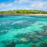 Experience crystal-clear turquoise waters, scenic long pier, and vibrant Green Island on the Full Day Green Island 11am Departure tour.