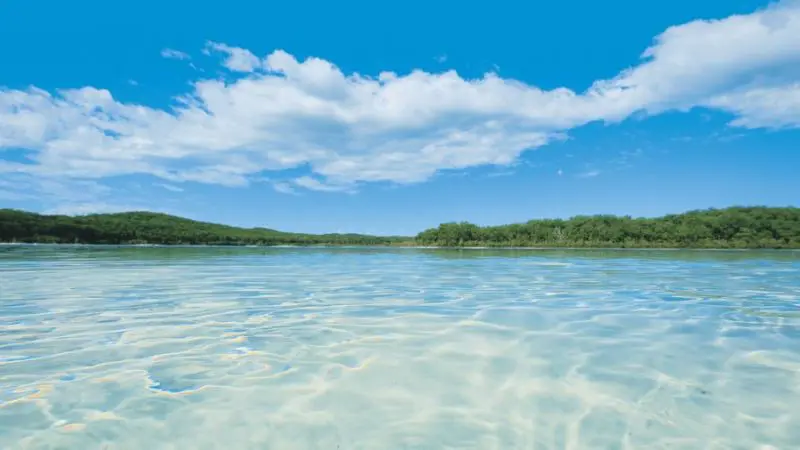 Crystal-clear shallow water in the foreground, lush green trees in the background—perfect setting for a Fraser Experience One Day Tour.