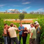 Visitors savour a premium Yarra Valley wine tasting, chatting beneath clear blue skies among scenic, vibrant vineyard rows.