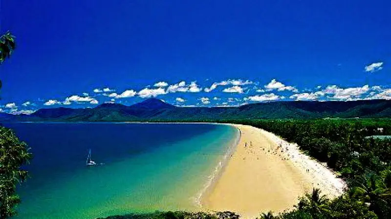 Experience a breathtaking curved sandy beach meeting turquoise waters on a top-rated Daintree Cape Tribulation sightseeing tour.