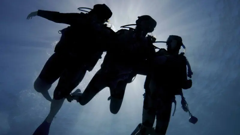 three divers in the ocean