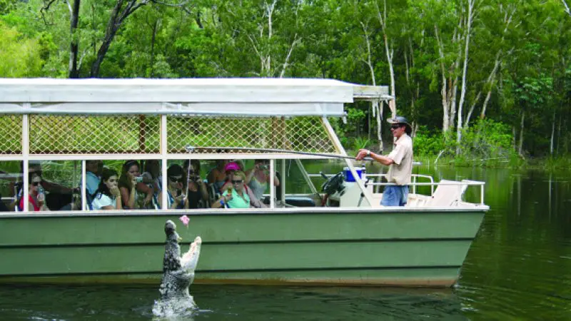boat on the water with crocodile jumping out the water