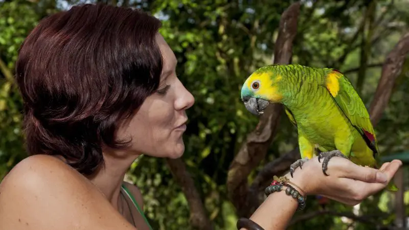 Woman admires vibrant green parrot outdoors among lush rainforest trees, showcasing deep human-animal connection in nature.