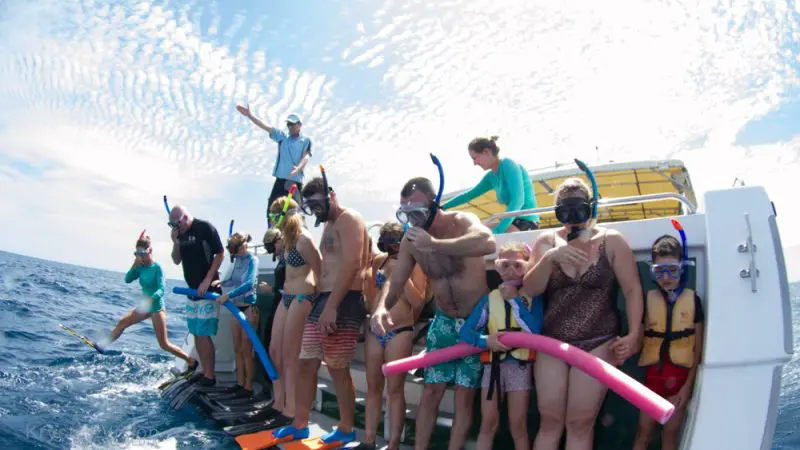 Snorkellers with Kings Ningaloo Reef Tours get ready for a Full Day Whale Shark and Humpback Tour, exploring marine wildlife wonders.
