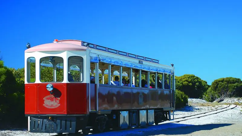 Red and white open-air tram on Rottnest Island’s sandy track, passing lush green bushes under blue sky—Oliver Hill Train Tunnel Tour.