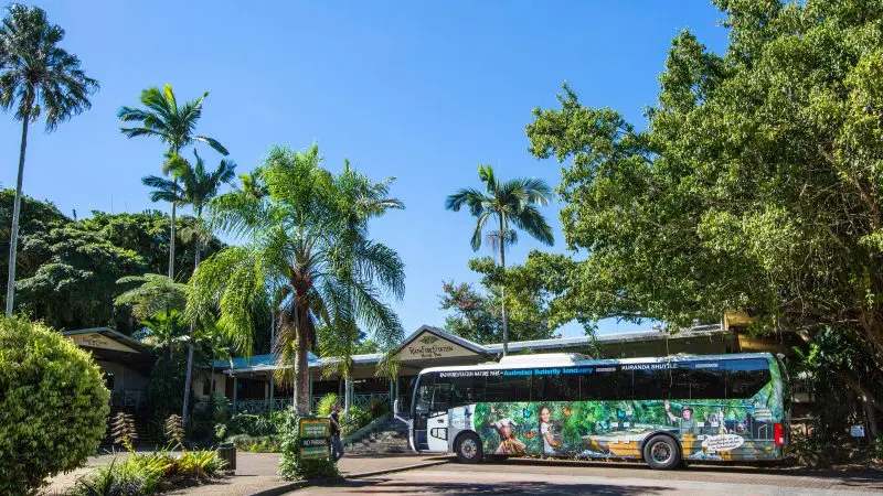 Vibrant tour bus for Classic Kuranda Tour parked by a tropical building, lush palm trees, and bright blue sky in Queensland.