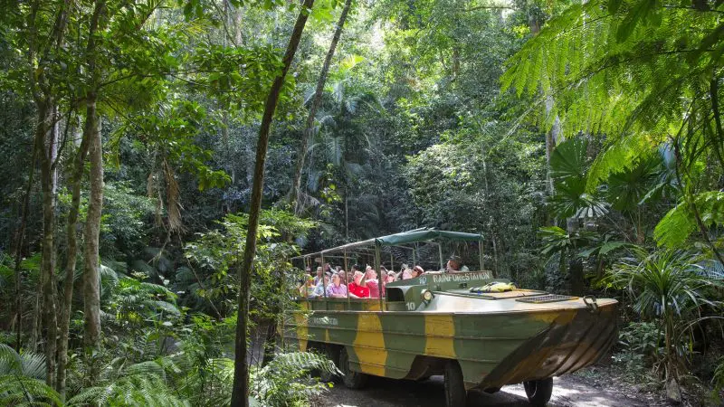Explore a Rainforestation tour vehicle navigating lush tropical rainforest, offering an authentic Kuranda experience adventure.