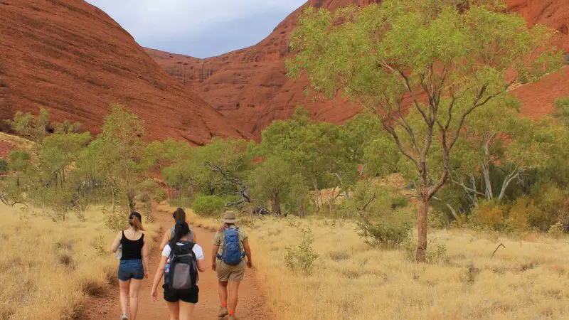 Three hikers trek the 3-Night Rock The Centre Yulara to Yulara trail amid striking red hills and scattered vibrant green trees.
