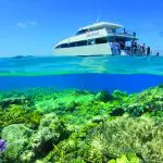 Snorkelling the Great Barrier Reef with Calypso Reef Charters: pristine blue waters, lush coral gardens, marine life adventure awaits.