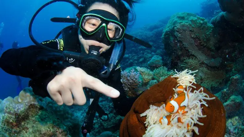 Scuba diver exploring vibrant sea anemones points to clownfish on the Aquaquest Outer Reef Snorkel Special, Great Barrier Reef tour.
