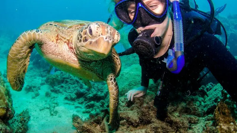 Scuba diver underwater smiles beside vibrant green sea turtle during Aquaquest Outer Reef Snorkel Special, Great Barrier Reef tour.