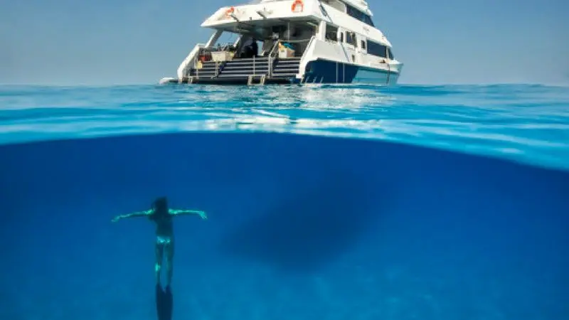 Experience the Aquaquest Outer Reef Snorkel Special—swimming near a luxury boat in crystal-clear blue sea, perfect for adventure seekers.