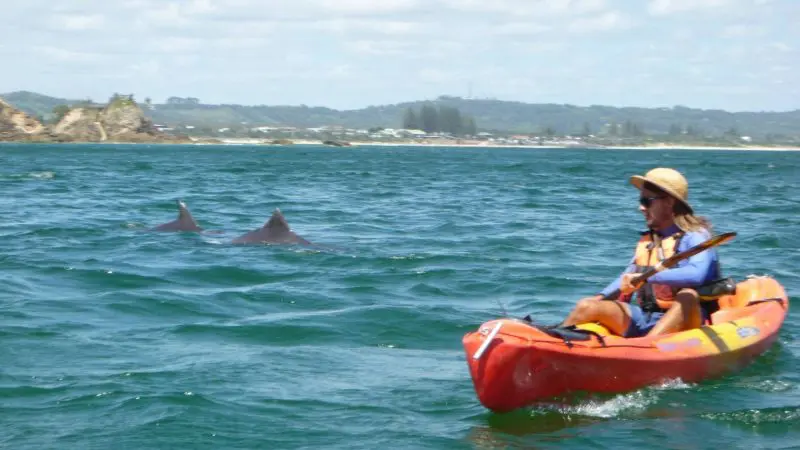 Experience a thrilling Byron Bay Sea Kayak Tour as you spot two dolphins swimming close by beneath a scenic, partly cloudy sky.