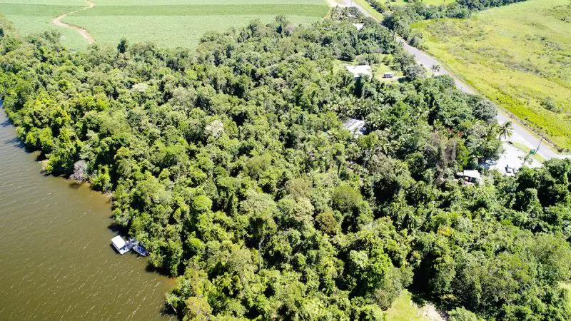 Stunning aerial view of lush Daintree rainforest by the river, road, and buildings—perfect for a top-rated 1 Hour River Cruise.