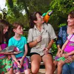 Six people—including four children and two women—sit with vibrant parrots on a bench in a lush, tropical rainforest environment.